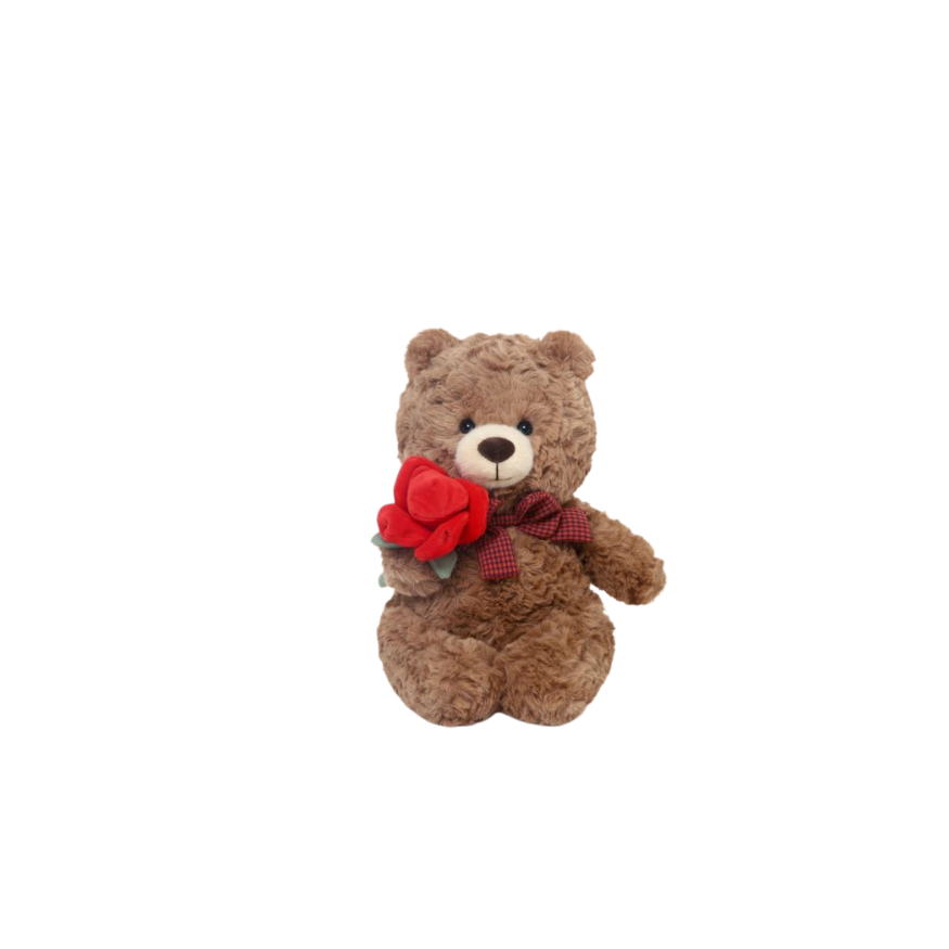 Sample Valentine's Day Teddy Bear