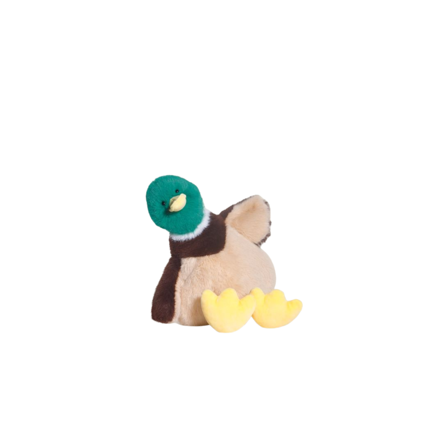 Sample Green-headed Duck